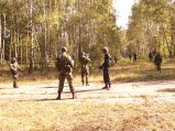 img035.jpeg.small.jpeg