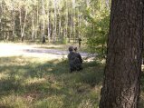 img036.jpeg.small.jpeg