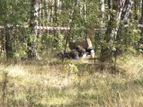 img039.jpeg.small.jpeg