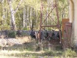 img054.jpeg.small.jpeg