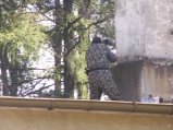 img073.jpeg.small.jpeg