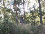 img082.jpeg.small.jpeg