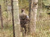 img141.jpeg.small.jpeg