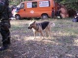 img155.jpeg.small.jpeg