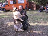 img158.jpeg.small.jpeg