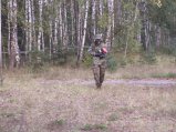 img201.jpeg.small.jpeg