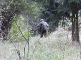 img223.jpeg.small.jpeg
