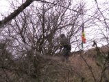 img007.jpeg.small.jpeg