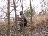 img010.jpeg.small.jpeg