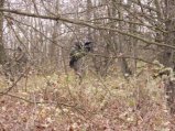 img019.jpeg.small.jpeg