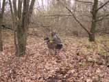 img023.jpeg.small.jpeg