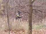img030.jpeg.small.jpeg