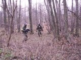 img035.jpeg.small.jpeg