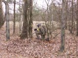 img042.jpeg.small.jpeg