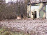 img056.jpeg.small.jpeg
