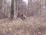 img064.jpeg.small.jpeg
