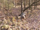 img069.jpeg.small.jpeg