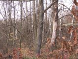 img073.jpeg.small.jpeg