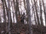 img077.jpeg.small.jpeg