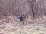 img083.jpeg.small.jpeg