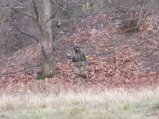 img120.jpeg.small.jpeg