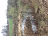 img036.jpeg.small.jpeg