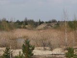 img098.jpeg.small.jpeg