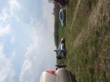 img111.jpeg.small.jpeg
