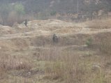 img152.jpeg.small.jpeg