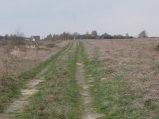 img157.jpeg.small.jpeg