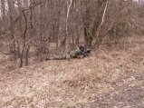 img016.jpeg.small.jpeg