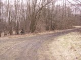 img017.jpeg.small.jpeg