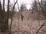 img022.jpeg.small.jpeg