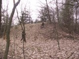 img023.jpeg.small.jpeg