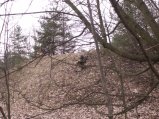 img024.jpeg.small.jpeg
