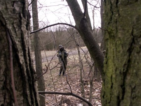 img025.jpeg.medium.jpeg