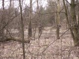 img027.jpeg.small.jpeg