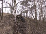 img041.jpeg.small.jpeg