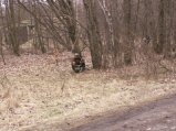img047.jpeg.small.jpeg