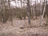img048.jpeg.small.jpeg