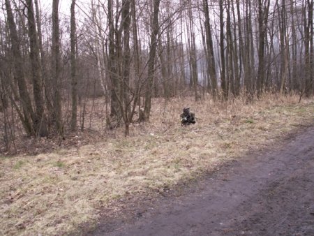img054.jpeg.medium.jpeg
