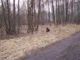 img054.jpeg.small.jpeg