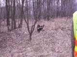 img055.jpeg.small.jpeg