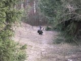 img060.jpeg.small.jpeg