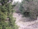 img061.jpeg.small.jpeg