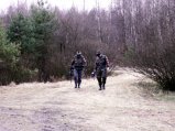 img062.jpeg.small.jpeg