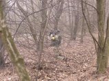 img085.jpeg.small.jpeg
