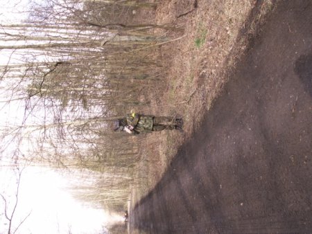 img090.jpeg.medium.jpeg