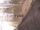 img090.jpeg.small.jpeg