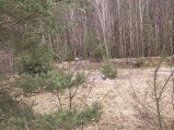 img123.jpeg.small.jpeg